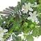 24" Spring Mixed Blossoms Floral Wreath